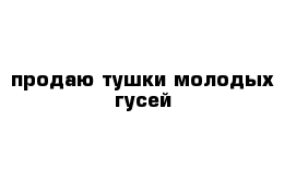 продаю тушки молодых гусей